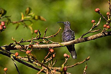 《庄园领主》销量现已超过200万套